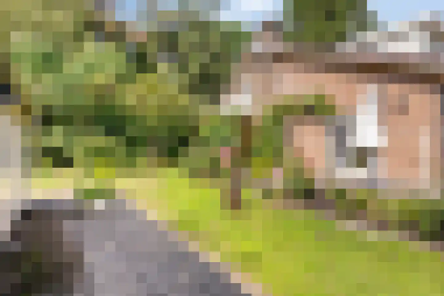 Zandven 2 Bergen op Zoom thumbnail 39
