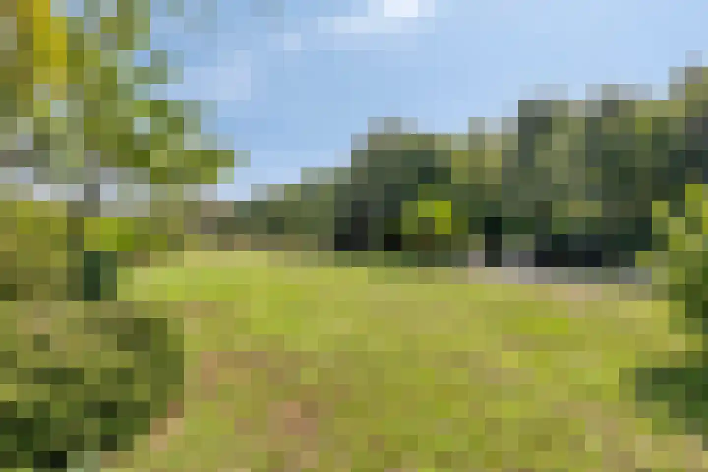 Zandven 2 Bergen op Zoom thumbnail 42