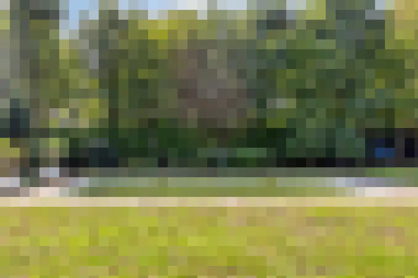 Zandven 2 Bergen op Zoom thumbnail 43