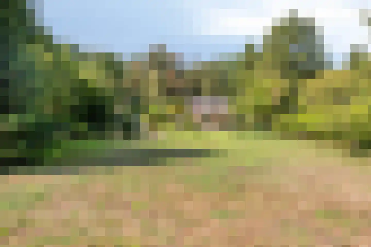 Zandven 2 Bergen op Zoom thumbnail 44