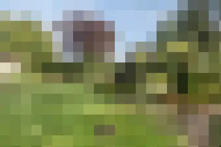 Zandven 4 Bergen op Zoom thumbnail 29