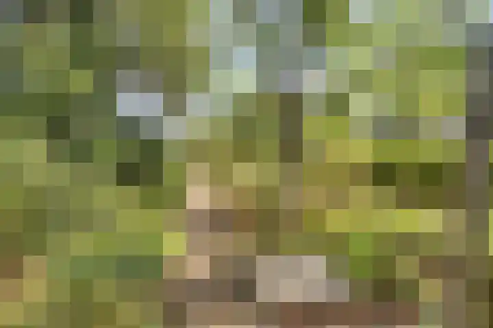 Zandven 4 Bergen op Zoom thumbnail 30