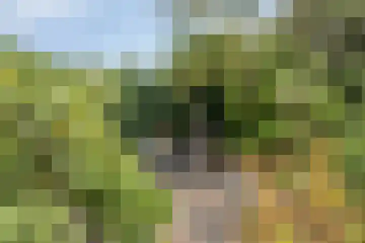 Zandven 4 Bergen op Zoom thumbnail 32
