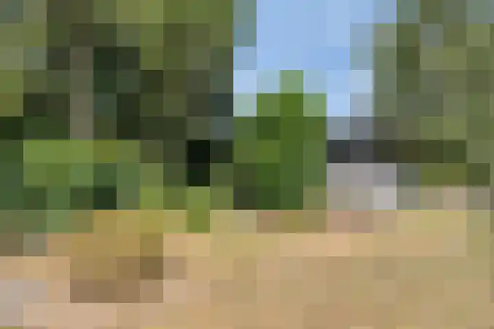 Zandven 4 Bergen op Zoom thumbnail 34