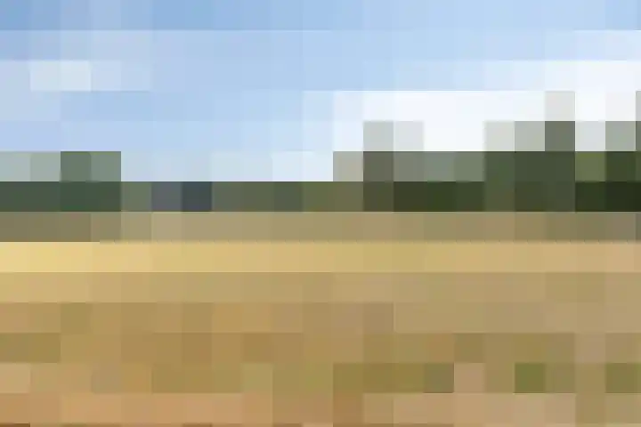 Zandven 4 Bergen op Zoom thumbnail 35
