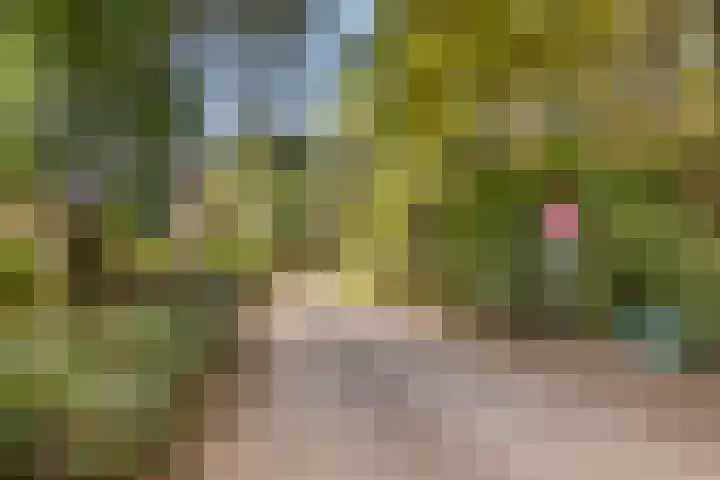 Zandven 4 Bergen op Zoom thumbnail 36