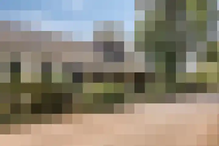Zandven 4 Bergen op Zoom thumbnail 37