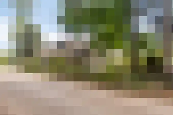Zandven 4 Bergen op Zoom thumbnail 46
