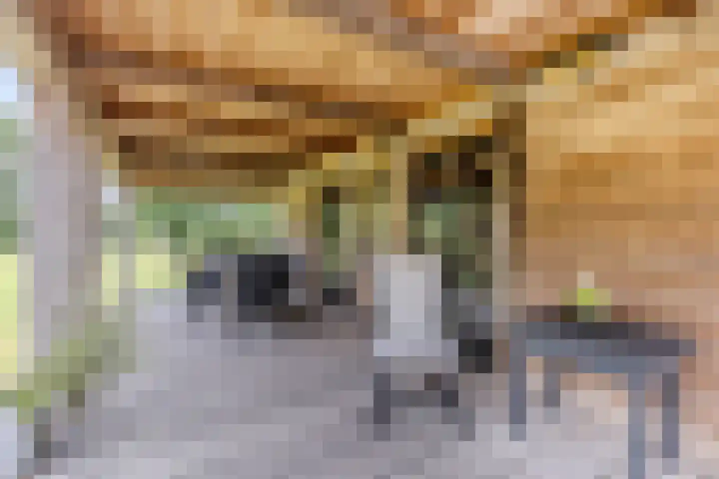 Zandven 70 Bergen op Zoom thumbnail 44