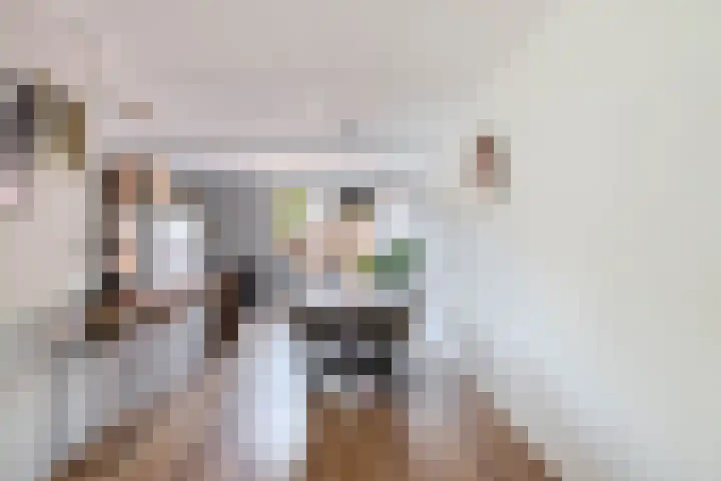 Zandvis 112 Eindhoven thumbnail 12