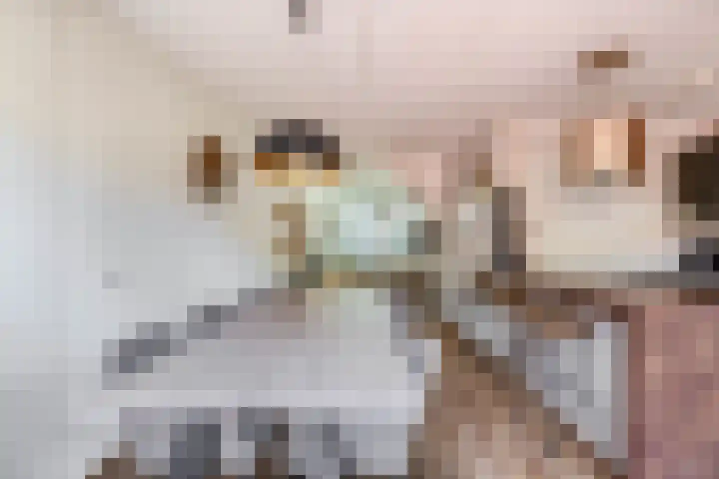 Zandvis 112 Eindhoven thumbnail 14
