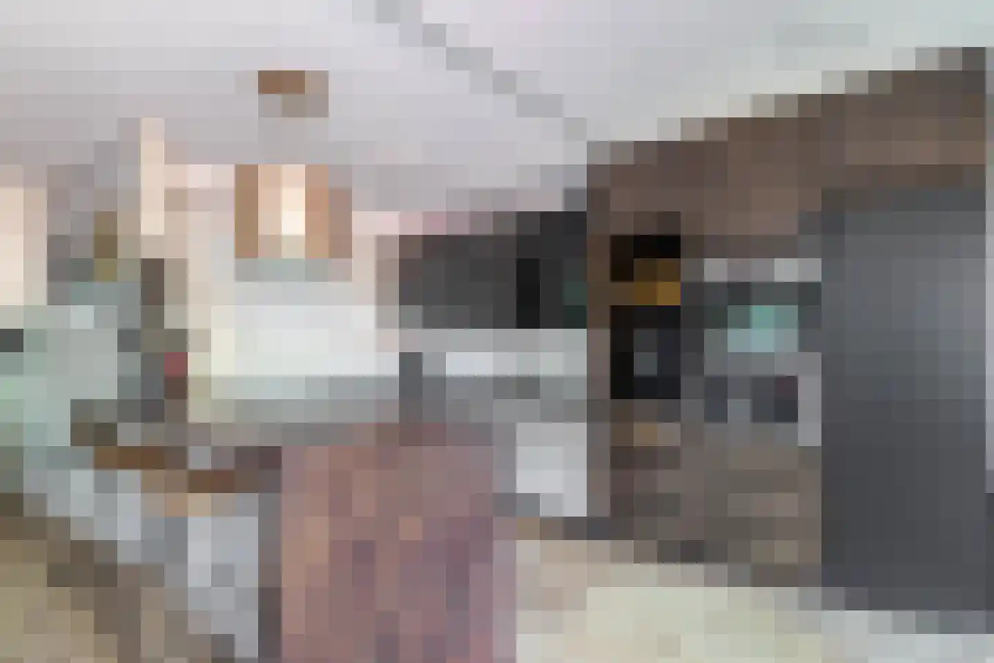 Zandvis 112 Eindhoven thumbnail 15