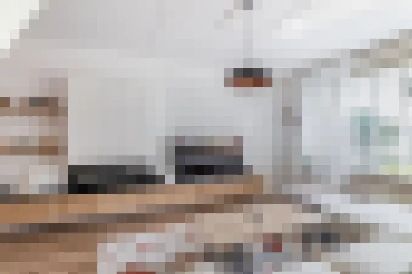 Zandvis 112 Eindhoven thumbnail 8