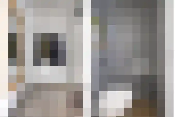 Zandvis 22 Eindhoven thumbnail 13