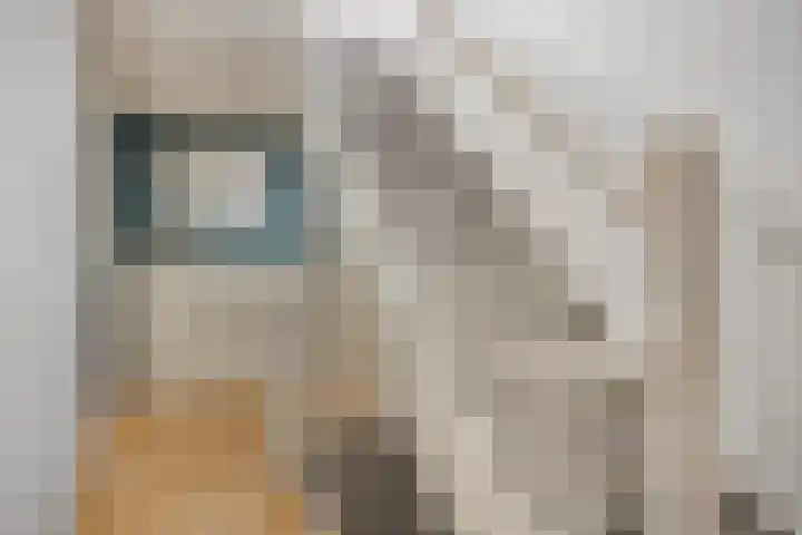 Zandvis 22 Eindhoven thumbnail 14