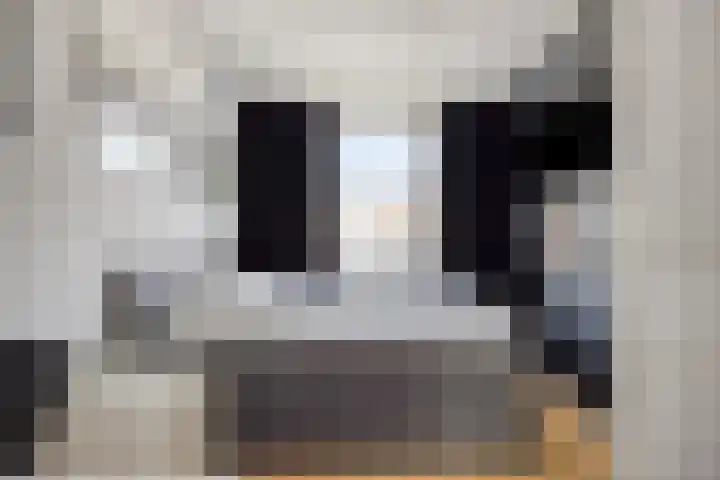 Zandvis 22 Eindhoven thumbnail 15