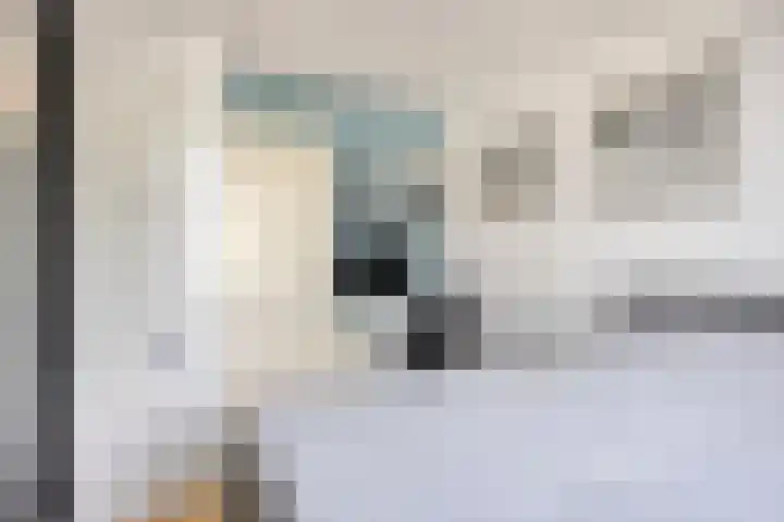 Zandvis 22 Eindhoven thumbnail 16