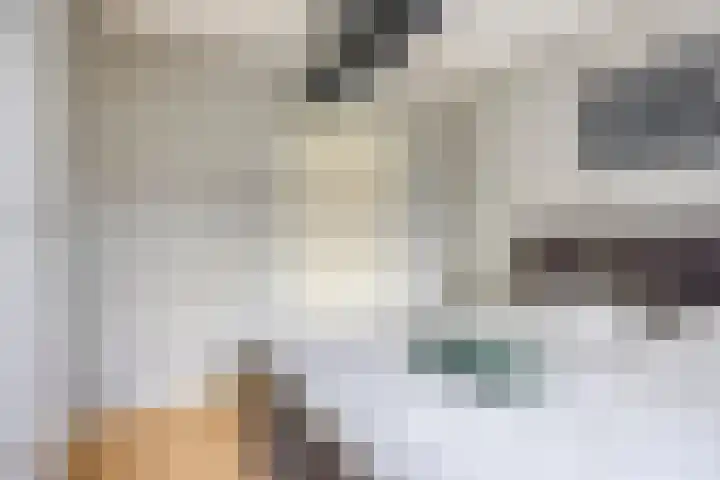 Zandvis 22 Eindhoven thumbnail 17
