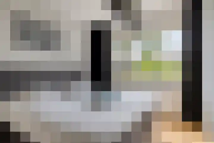 Zandvis 22 Eindhoven thumbnail 18
