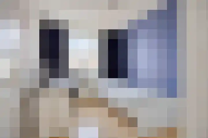 Zandvis 22 Eindhoven thumbnail 20