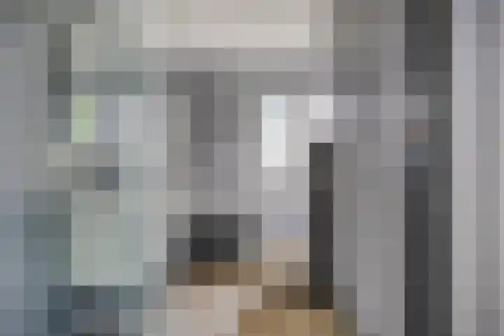Zandvis 22 Eindhoven thumbnail 21