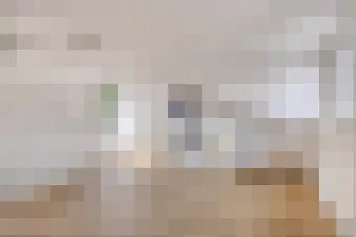 Zandvis 22 Eindhoven thumbnail 26