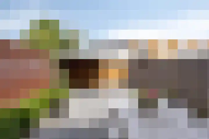 Zandvis 22 Eindhoven thumbnail 27