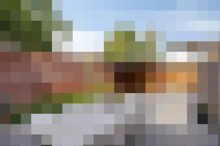 Zandvis 22 Eindhoven thumbnail 28