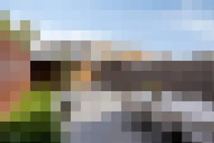 Zandvis 22 Eindhoven thumbnail 29