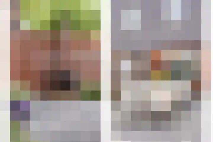 Zandvis 22 Eindhoven thumbnail 30