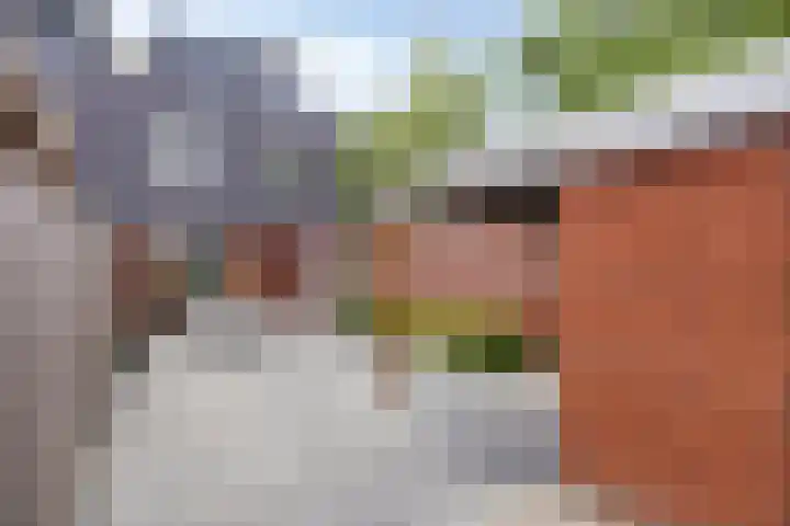 Zandvis 22 Eindhoven thumbnail 31