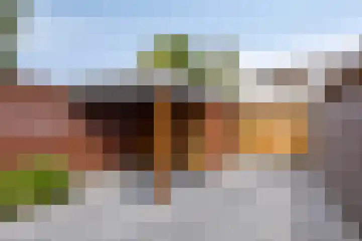 Zandvis 22 Eindhoven thumbnail 32