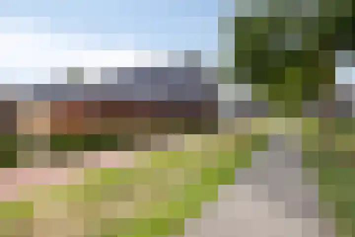 Zandvis 22 Eindhoven thumbnail 35