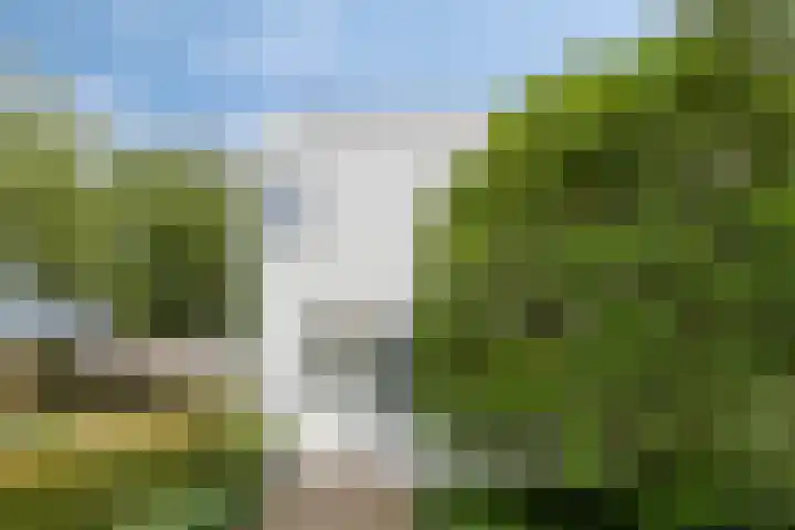 Zandvis 22 Eindhoven thumbnail 37