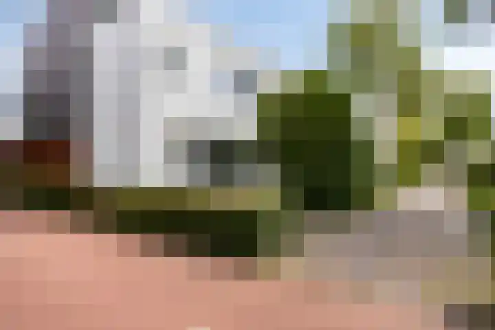 Zandvis 22 Eindhoven thumbnail 38
