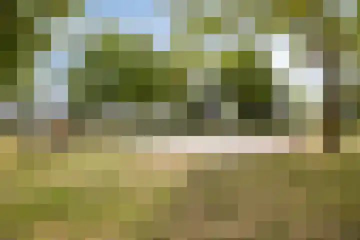 Zandvis 22 Eindhoven thumbnail 39