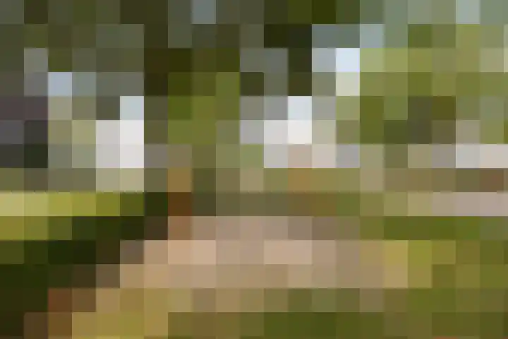 Zandvis 22 Eindhoven thumbnail 40