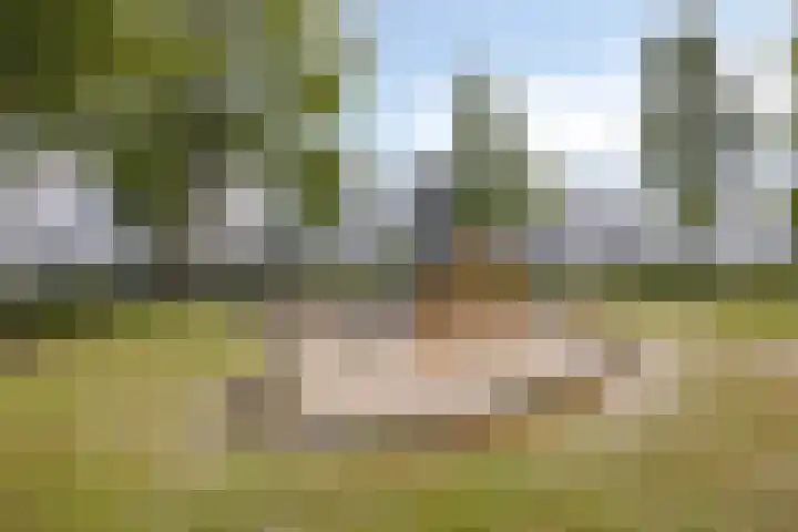 Zandvis 22 Eindhoven thumbnail 41