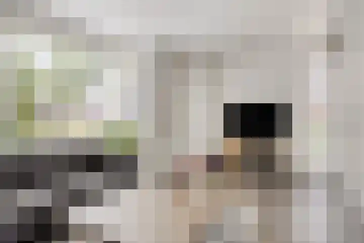 Zandvis 22 Eindhoven thumbnail 5