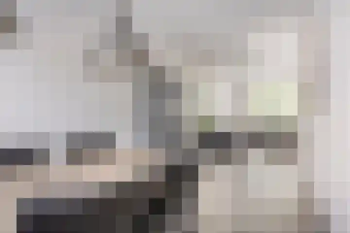 Zandvis 22 Eindhoven thumbnail 7