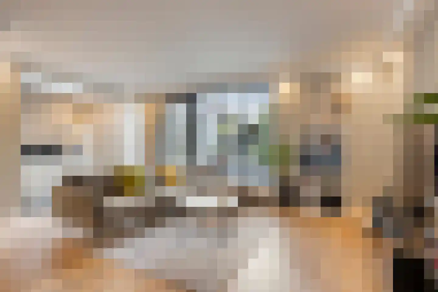 Zandvis 9 Eindhoven thumbnail 13