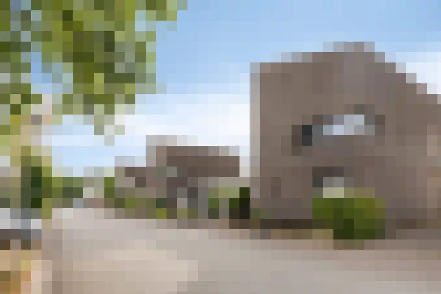 Zandvis 9 Eindhoven thumbnail 25