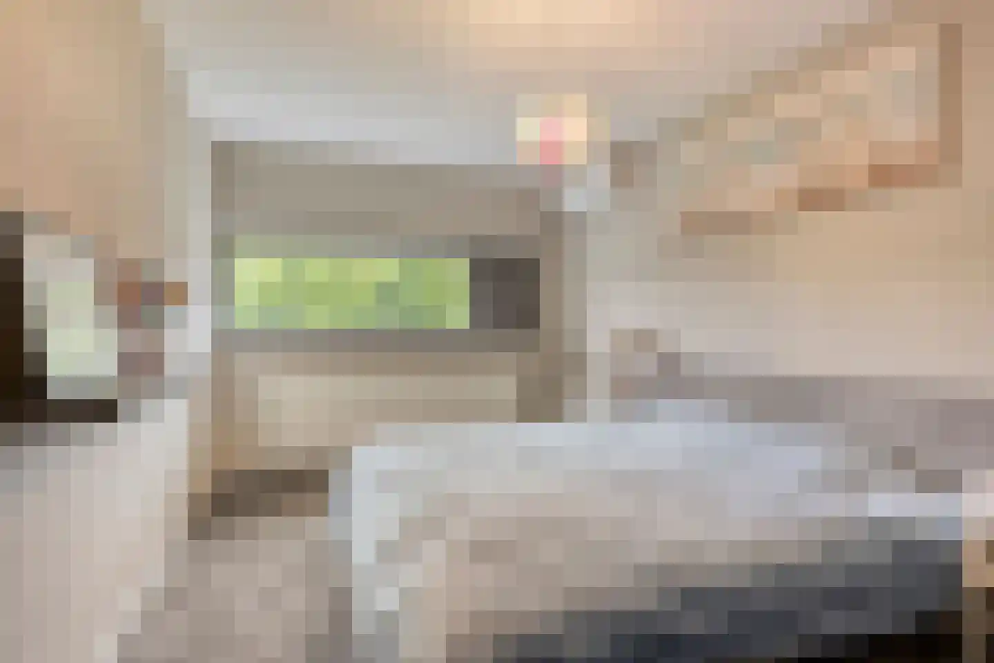 Zandvis 9 Eindhoven thumbnail 27