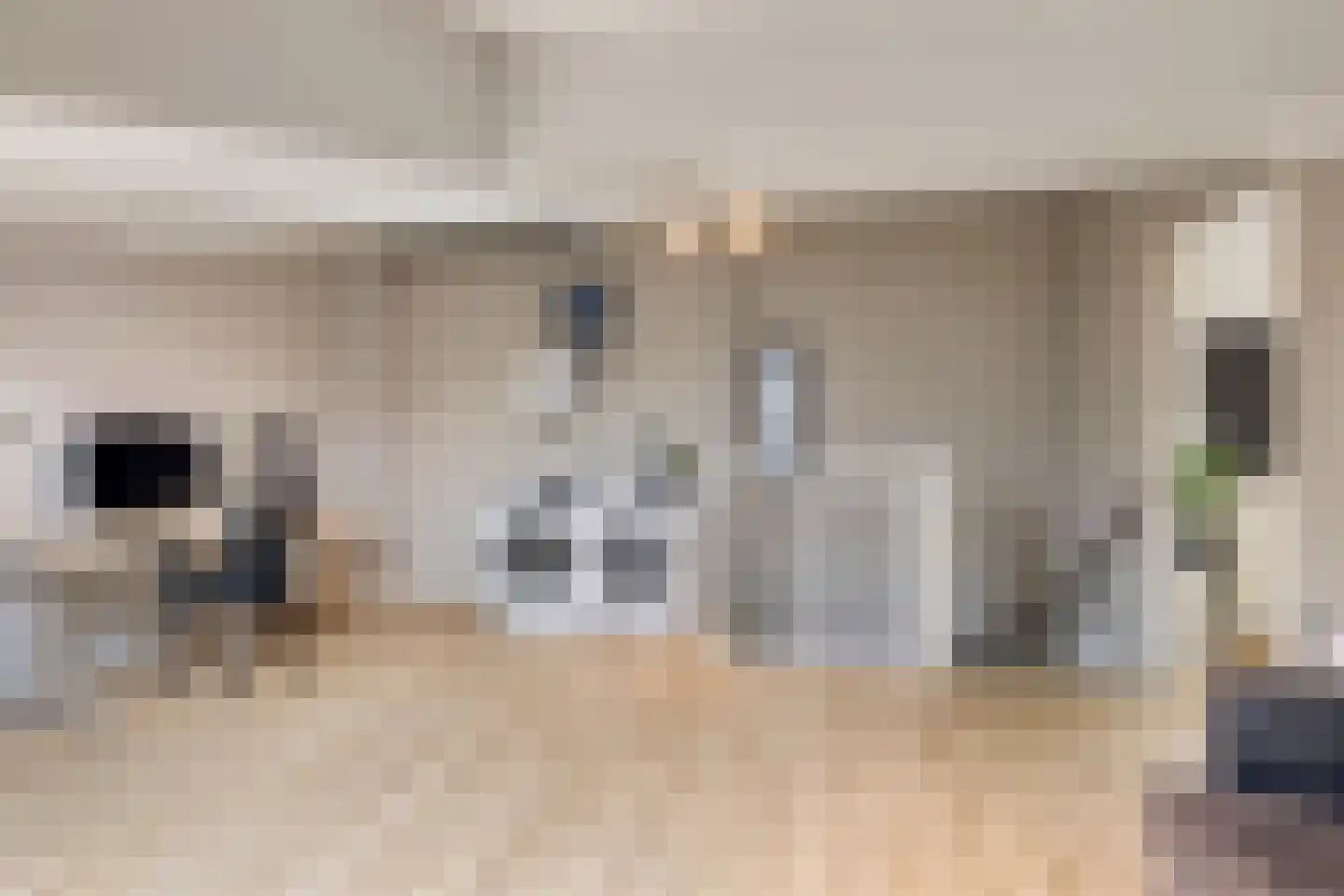 Zandvis 9 Eindhoven thumbnail 34