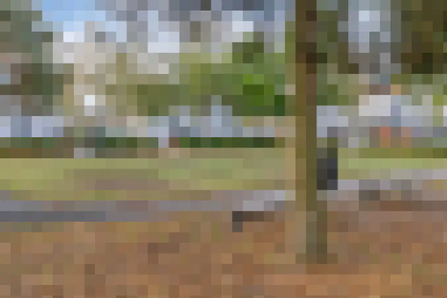 Zandvis 9 Eindhoven thumbnail 45