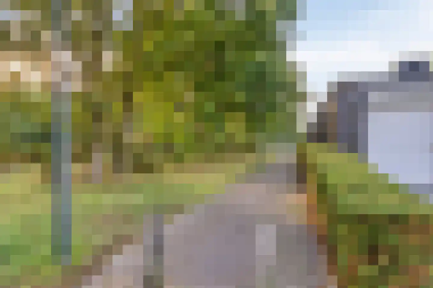 Zandvis 9 Eindhoven thumbnail 46