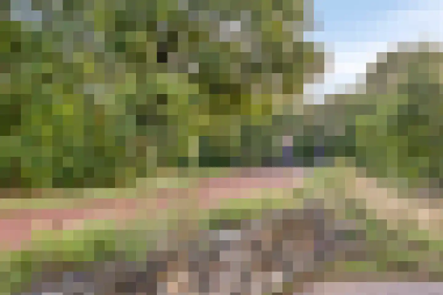 Zandvis 9 Eindhoven thumbnail 47