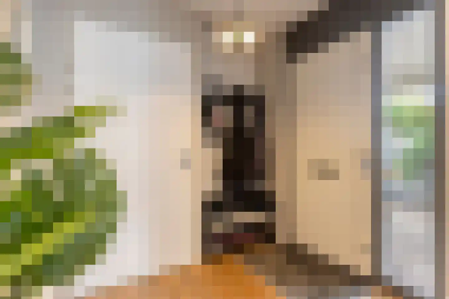 Zandvis 9 Eindhoven thumbnail 6
