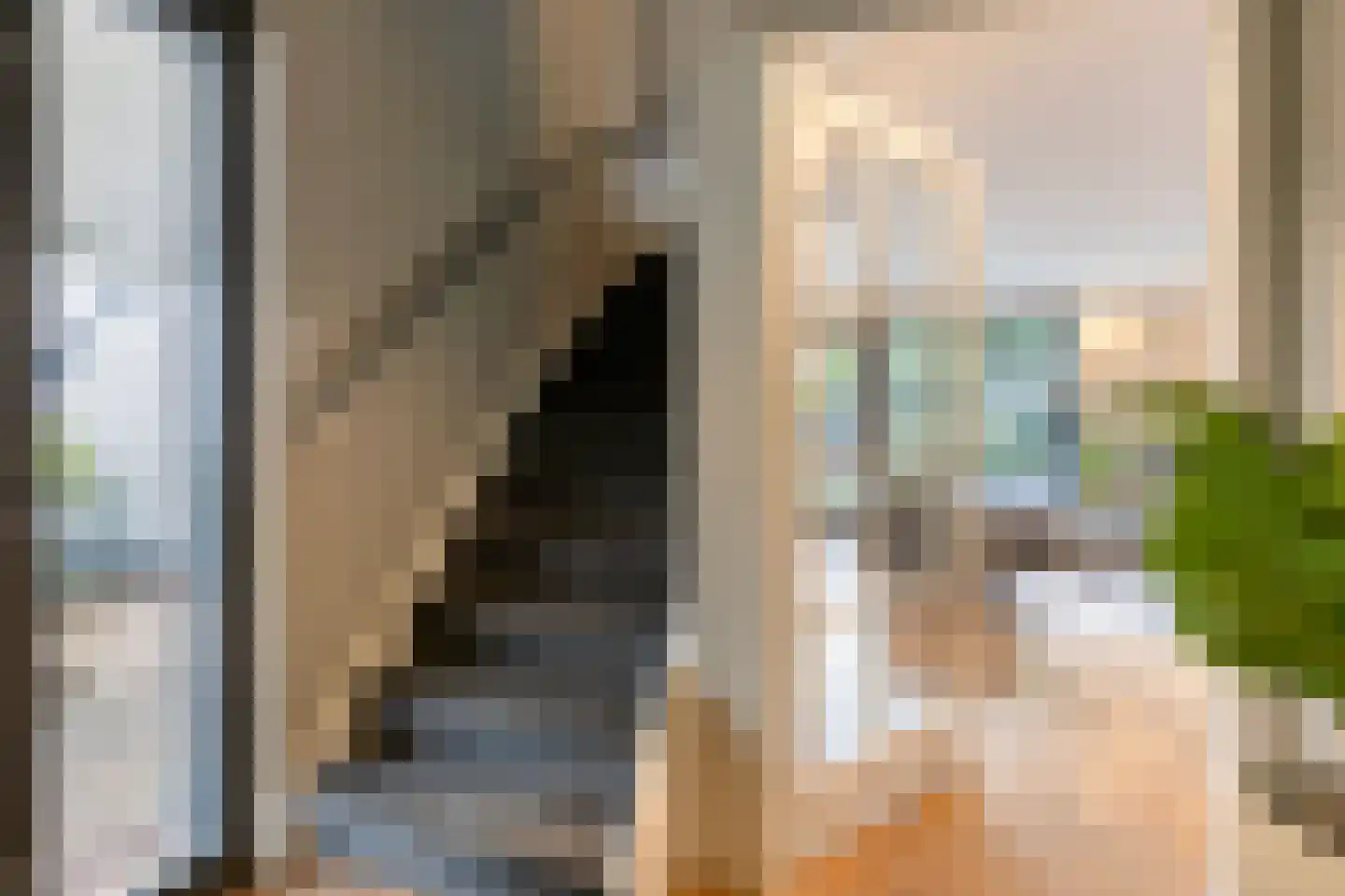 Zandvis 9 Eindhoven thumbnail 7