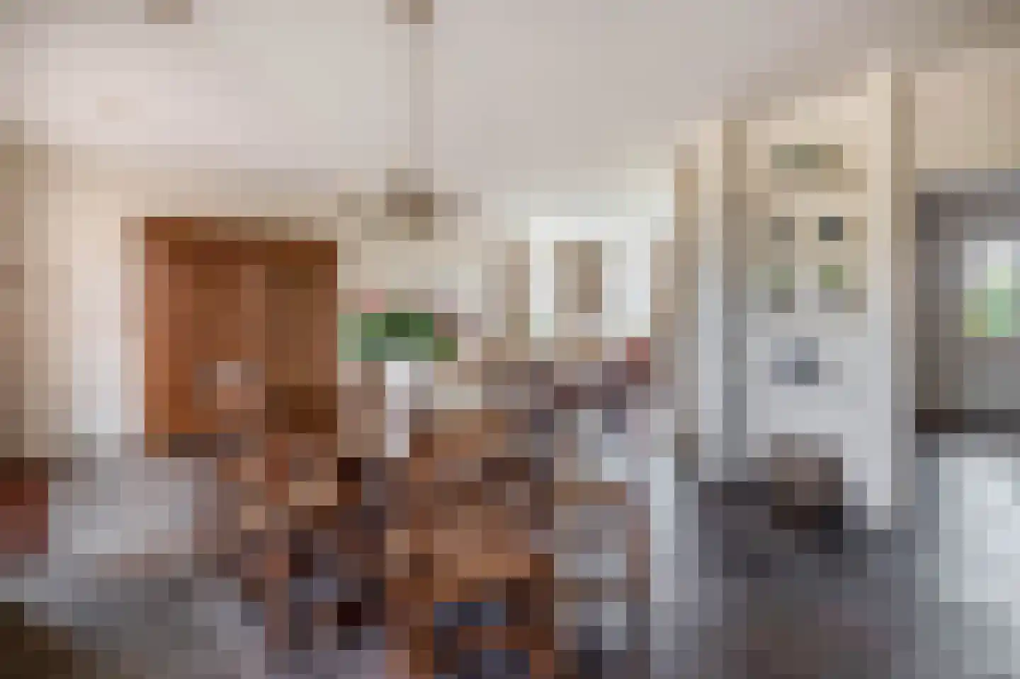 Zandvliet 10 Veghel thumbnail 11